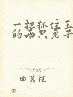 一把抓住王昭君的两只兔子