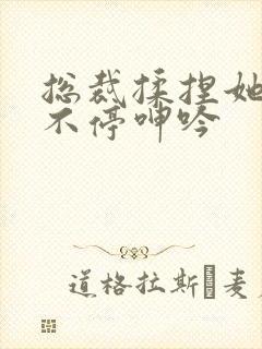 总裁揉捏她两乳不停呻吟