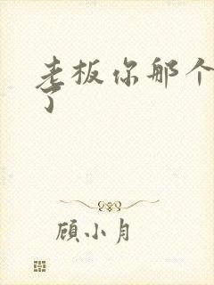 老板你那个太长了