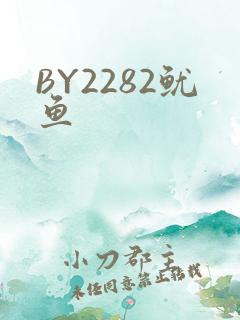 BY2282鱿鱼