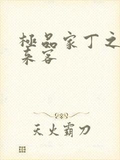 极品家丁之远方来客