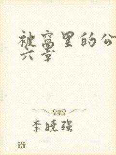 被窝里的公息第六章