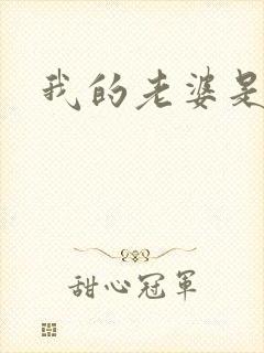 我的老婆是大神