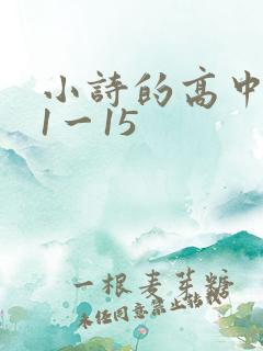小诗的高中日记1一15