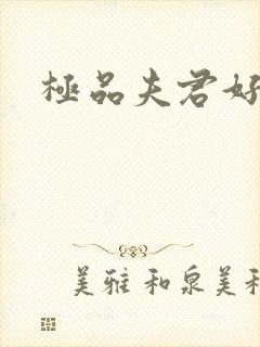 极品夫君好又多