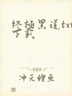 终极黑道txt下载
