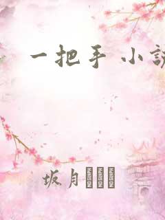 一把手 小说