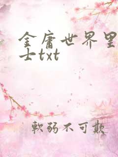 金庸世界里的道士txt