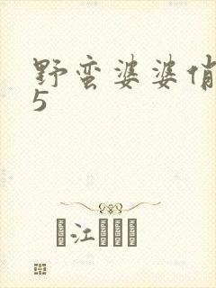 野蛮婆婆俏媳妇5