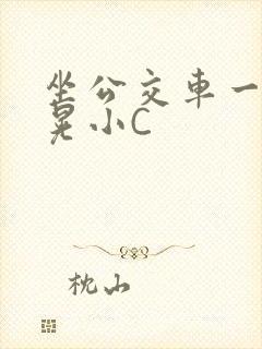 坐公交车一摇一晃小C