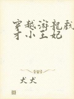 穿越游龙戏凤天才小王妃