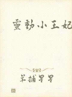 灵动小王妃