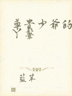 尊贵少爷的大牌丫鬟