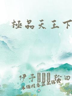 极品天王下载