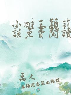 小雄王颖莉的小说免费阅读全文