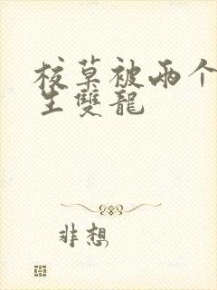 校草被两个体育生双龙