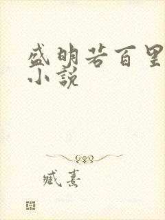 盛明若百里轻尘小说