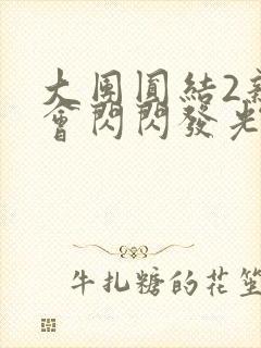 大团圆结2亲情会闪闪发光亲情会2