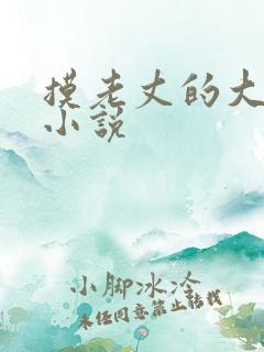 摸老丈的大牛子小说