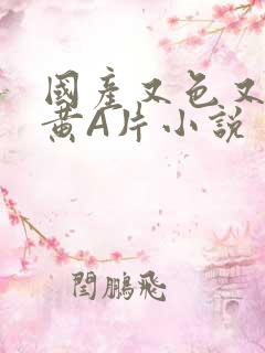 国产又色又爽又黄A片小说