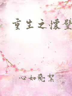 重生之怀璧其罪