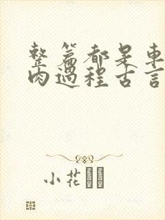 整篇都是车的多肉过程古言描写