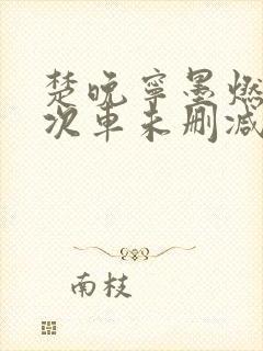 楚晚宁墨燃第一次车未删减