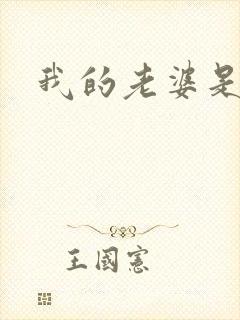 我的老婆是卧底