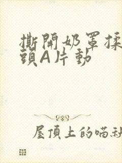 撕开奶罩揉吮奶头A片动