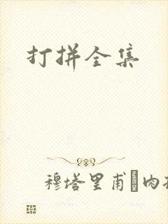 打拼全集