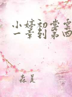 小婷初尝云雨第一章到第四章