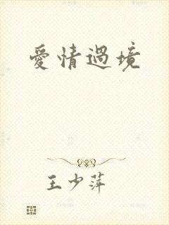 爱情过境
