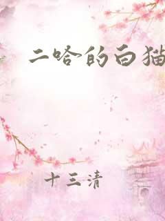 二哈的白猫师尊