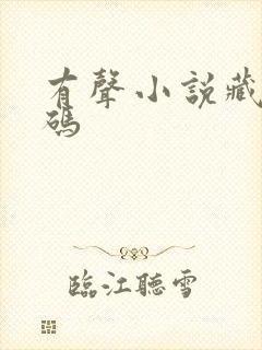 有声小说藏地密码