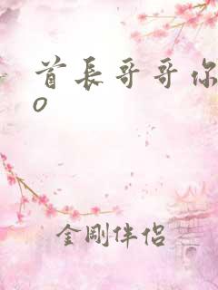 首长哥哥你好po