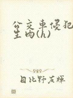 公交车侵犯小男生肉(h)