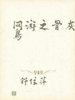 网游之骨灰级菜鸟