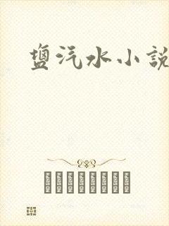 盐汽水小说