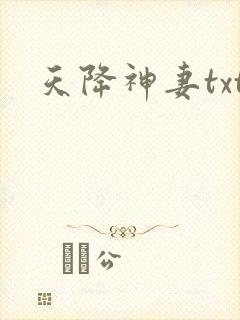 天降神妻txt