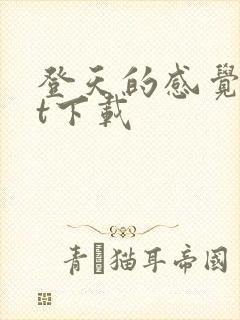 登天的感觉txt下载