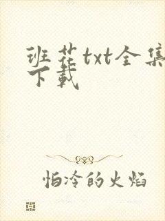 班花txt全集下载