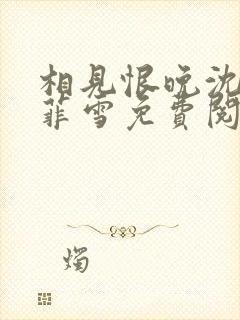 相见恨晚沈浩秦菲雪免费阅读