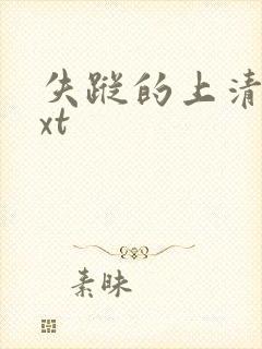 失踪的上清寺txt