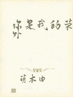 你是我的荣耀番外