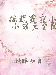 总裁霸宠小娇妻 小说免费阅读