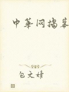 中华网揭幕内参