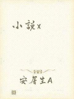 小说x