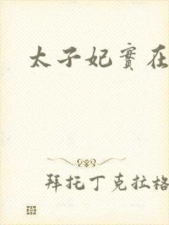 太子妃实在美丽