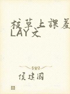 校草上课羞耻PLAY文