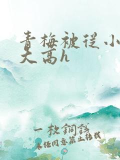 青梅被从小玩到大高h